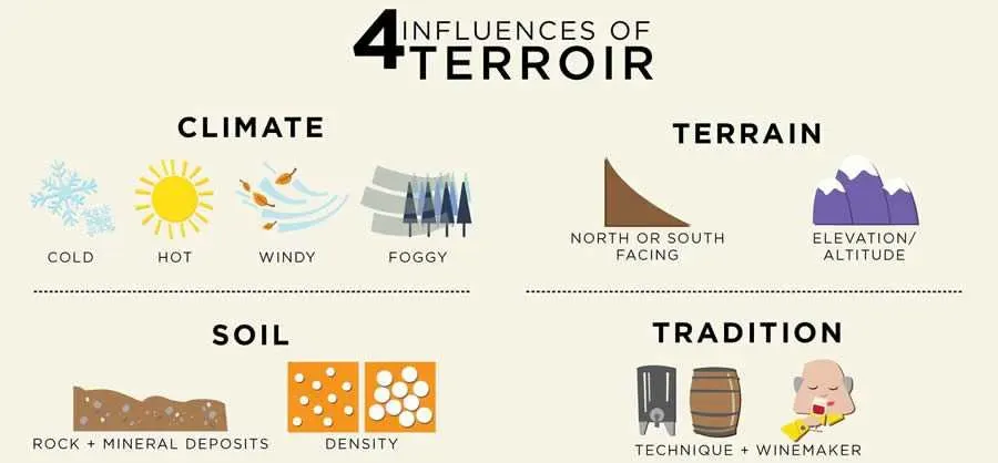 Factors influencing terroir