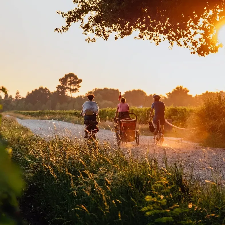 Saint emilion ebike tour